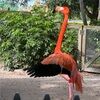 gilligan0336